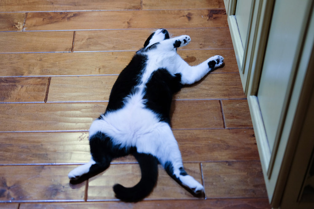 生きてますか～？