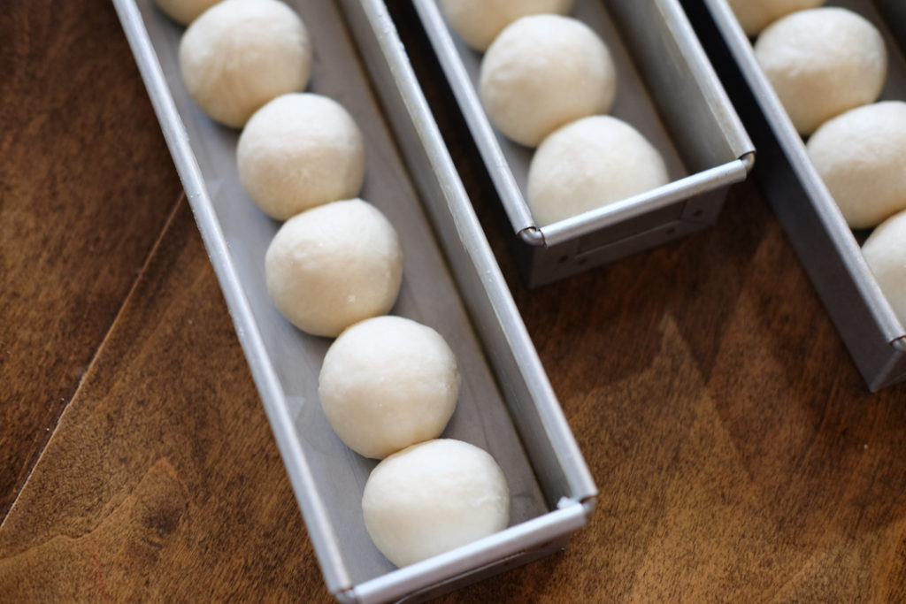 ころころ可愛い