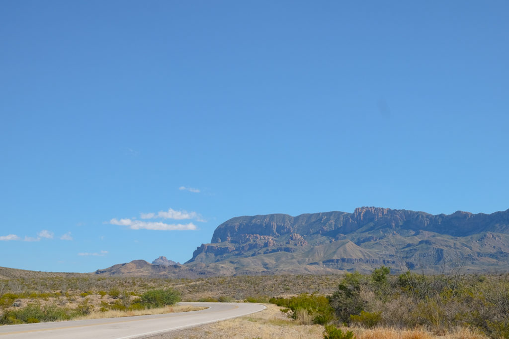 パワーを感じます