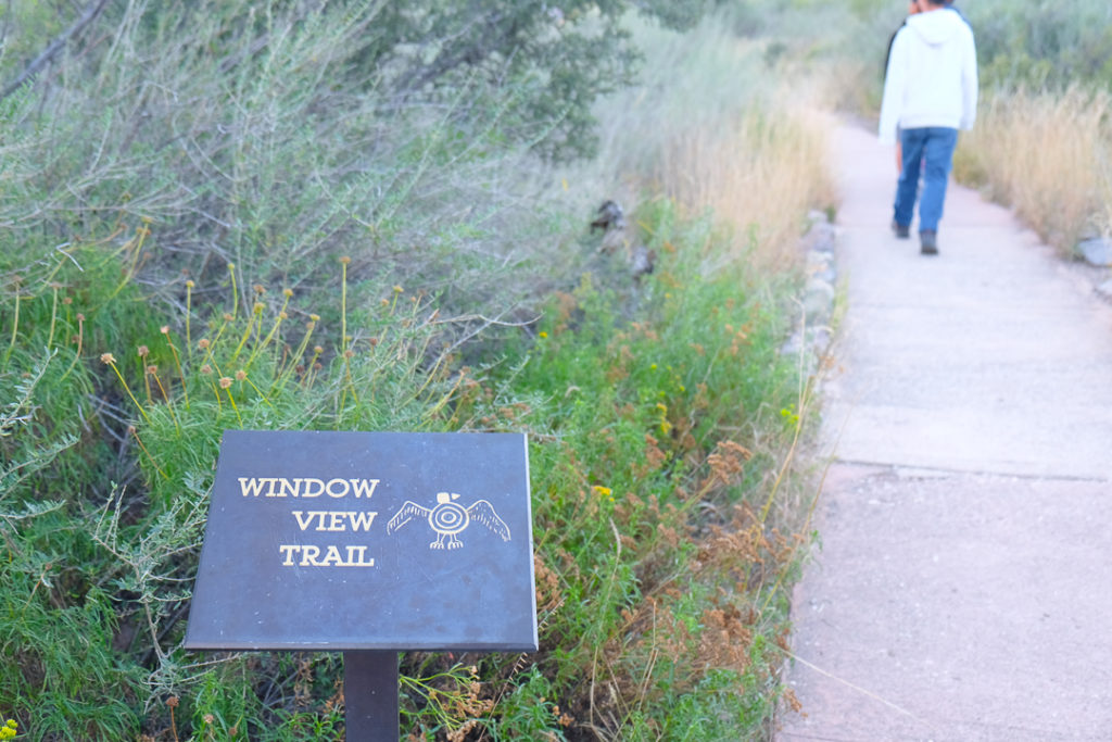 ウインドウビュートレイル
