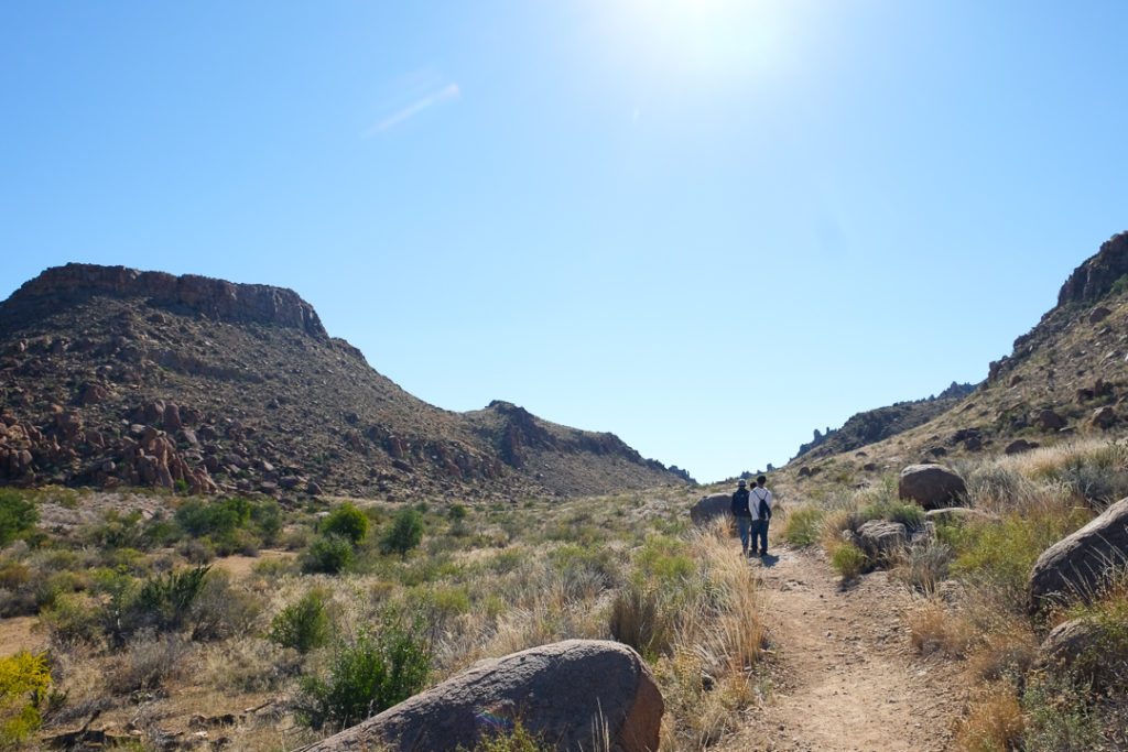 さぁ、歩きます