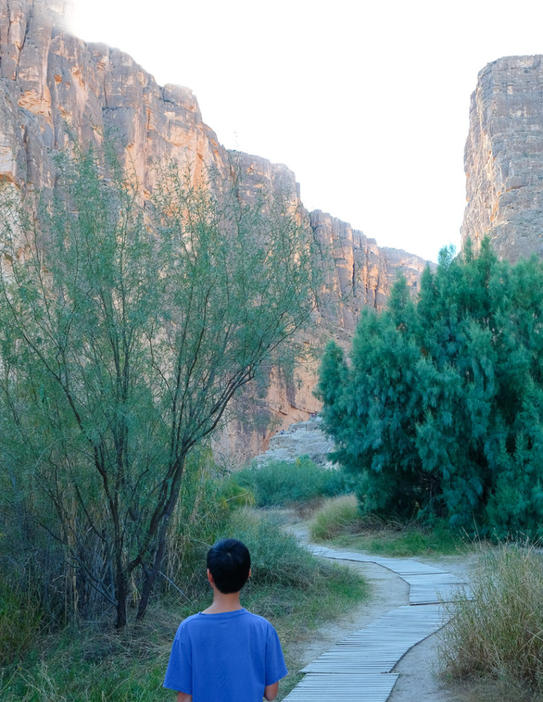 さて、歩きます