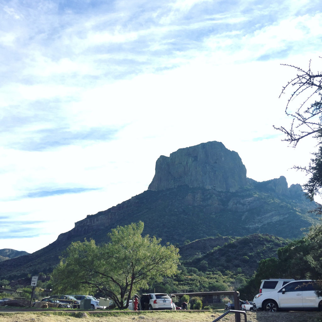 いいお天気です