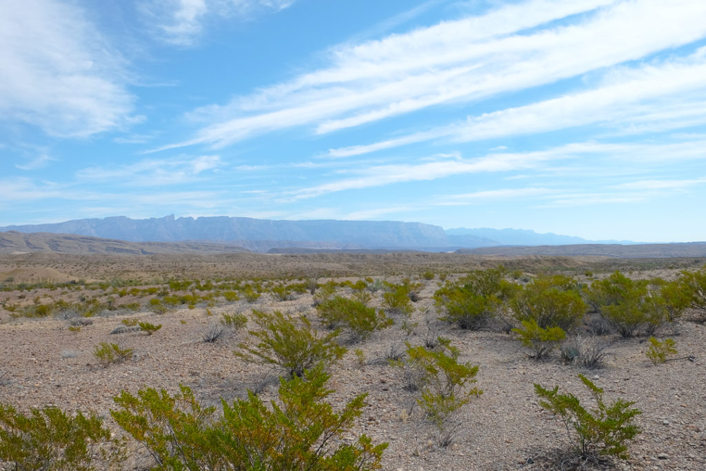 ただただひろい