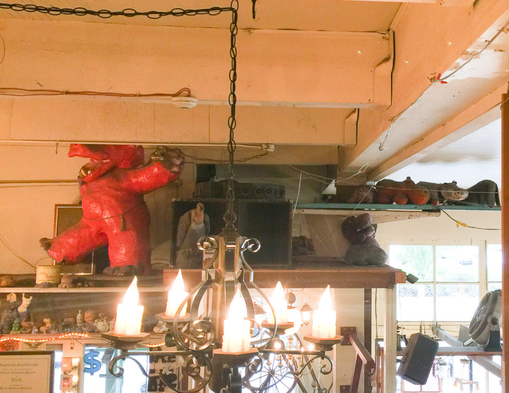 ここにもいるよ