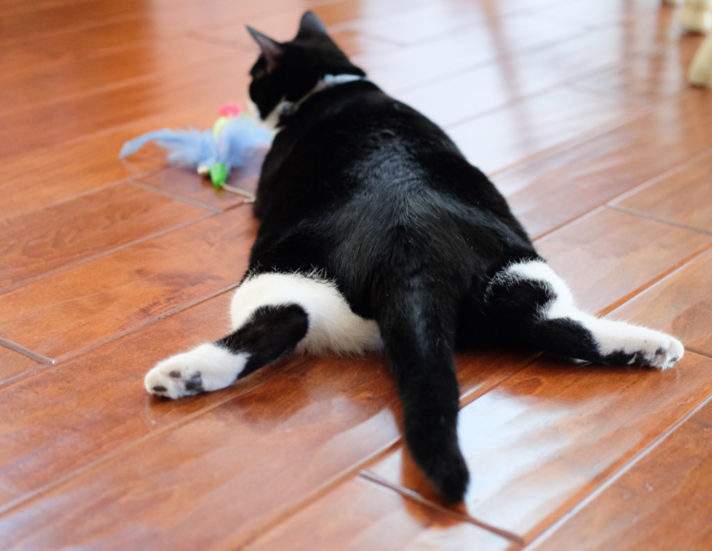 ちょっと変だよねぇ