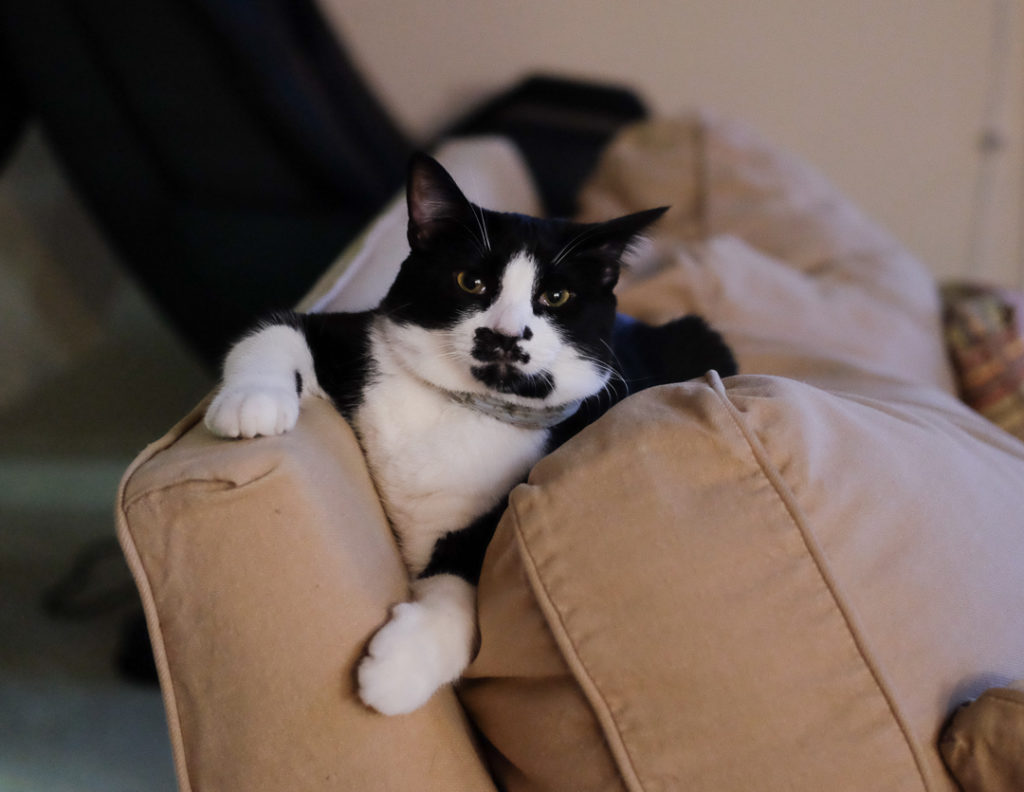 なんですって？