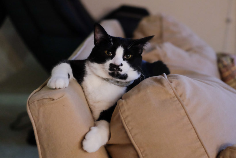 なんですって？