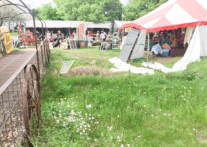 ワイルドフラワーの季節です