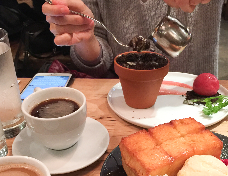 植木に水をやりましょう♪