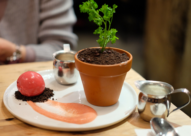 植木鉢デザート