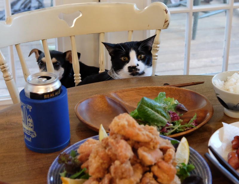 見てます（笑）