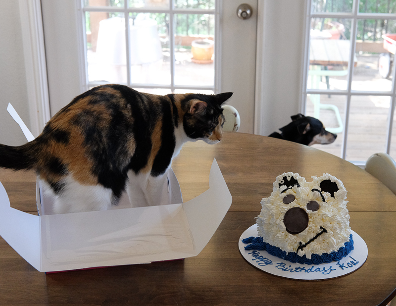 とりあえず箱に入る