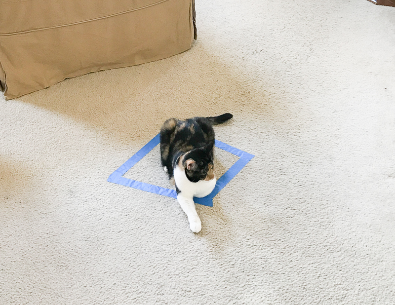 はみ出てるけどね