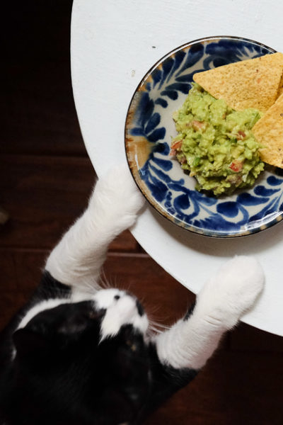 絶品ワカモーレ