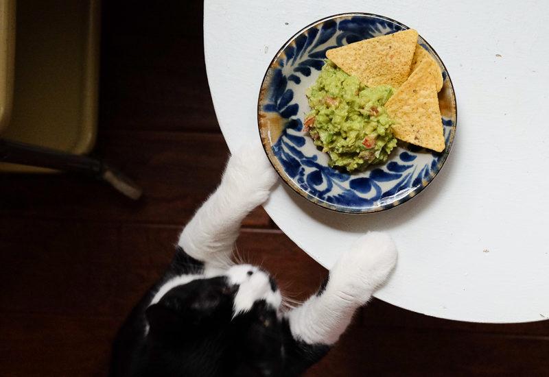 絶品ワカモーレ