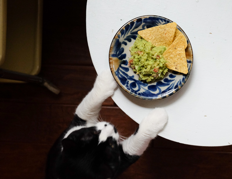 絶品ワカモーレ