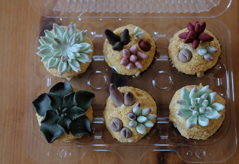 多肉植物カップケーキ