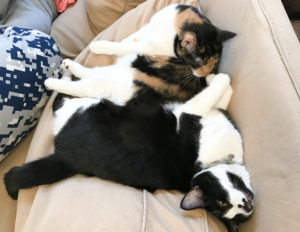 その体勢、しんどくない？