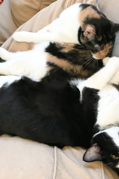 その体勢、しんどくない?