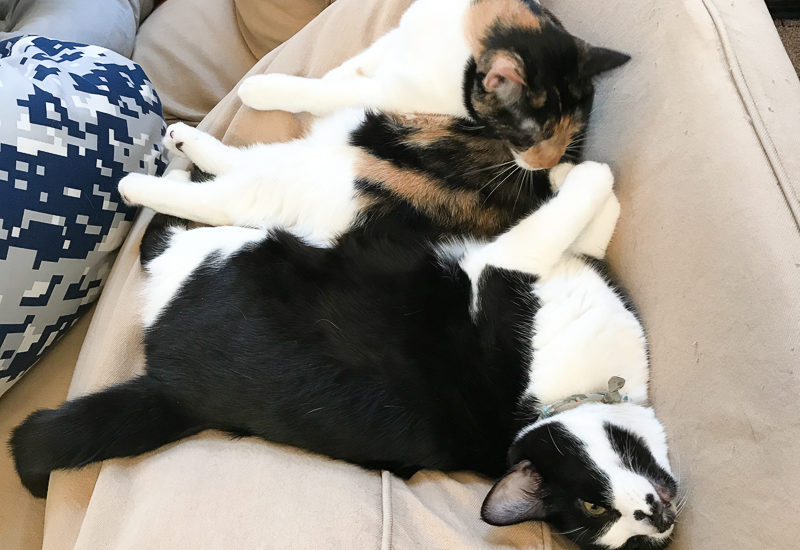 その体勢、しんどくない？