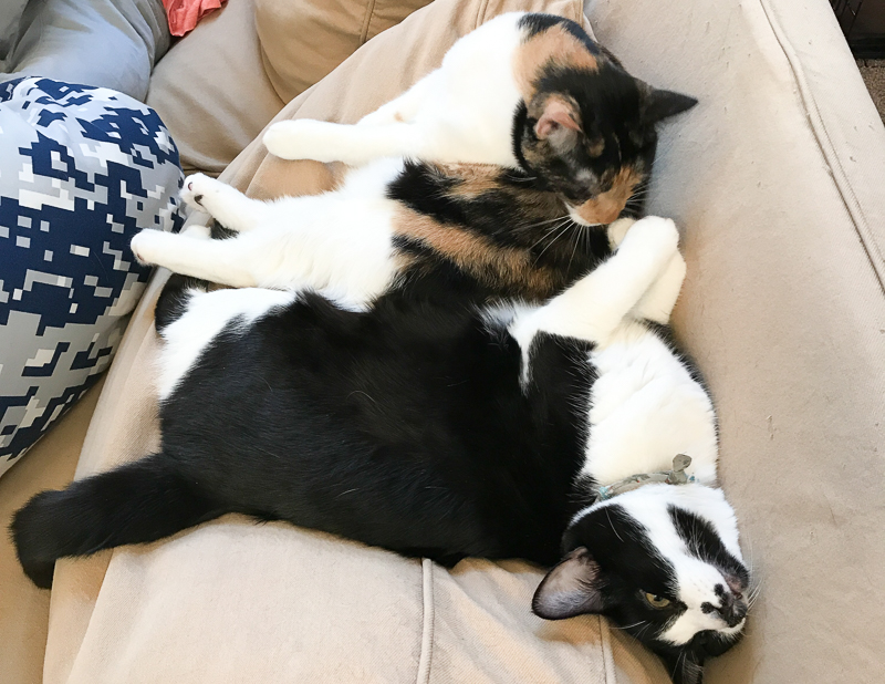 その体勢、しんどくない？