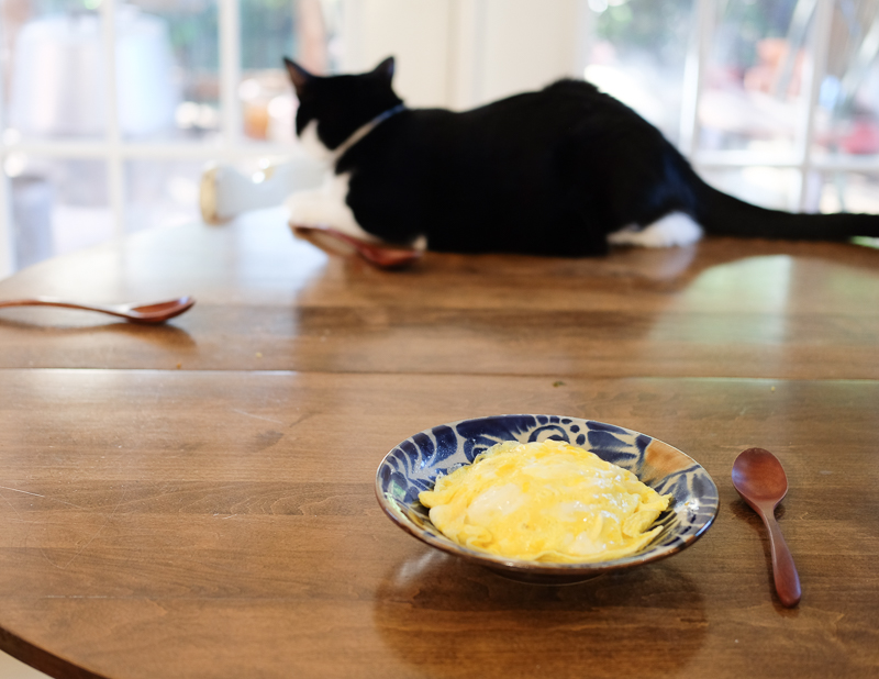 あんこちゃんは興味なし？