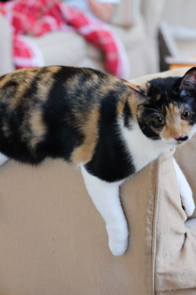 その体勢しんどくない?