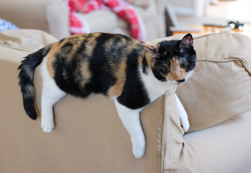 その体勢しんどくない？