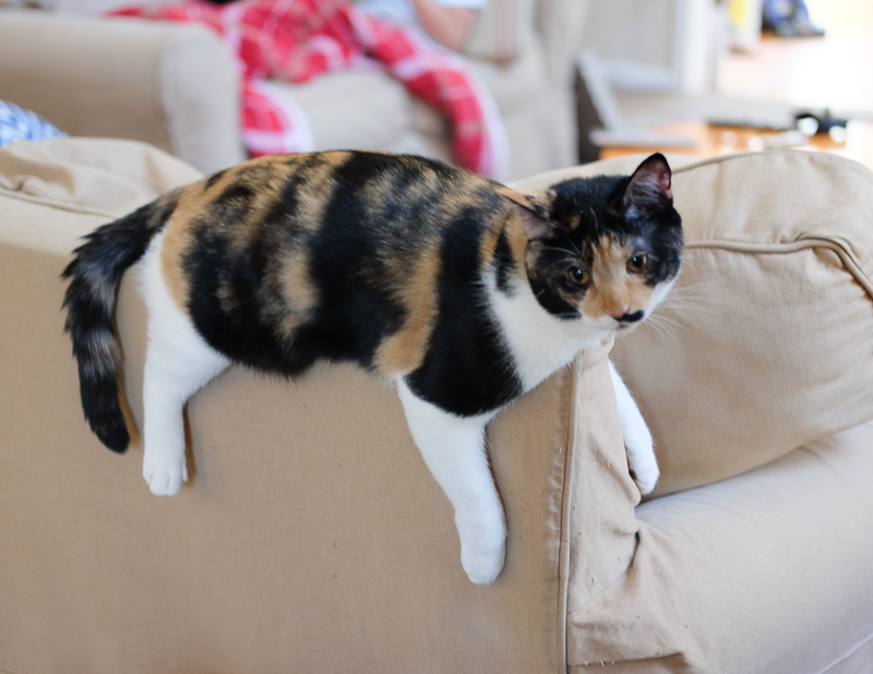 その体勢しんどくない？