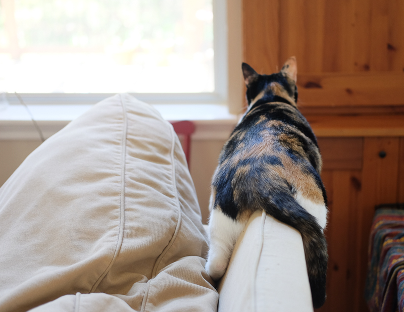 くつろいでます