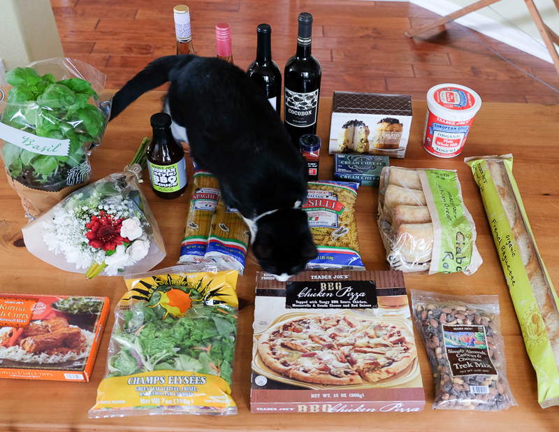 あんこちゃん、来た～