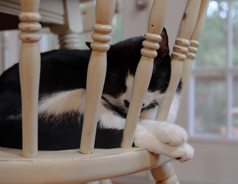 おててがかわいい