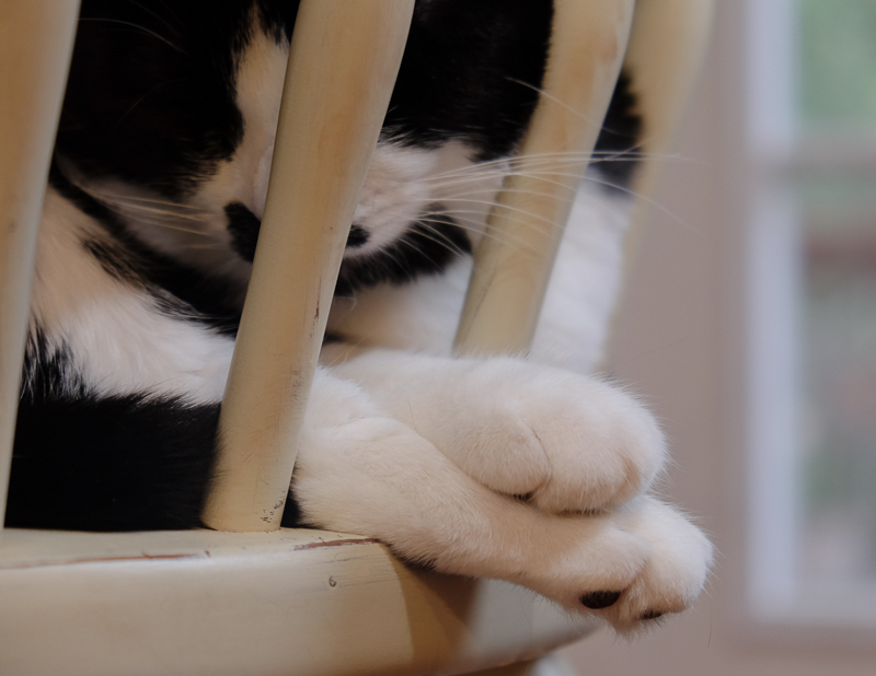 お鼻つぶれてない？