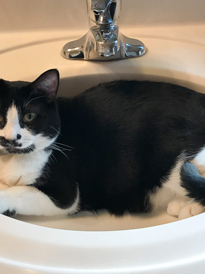 冷たくて気持ちがいいの