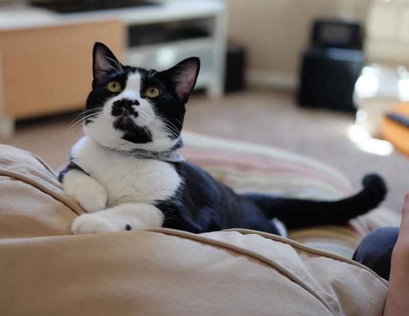 上に誰かいるわ