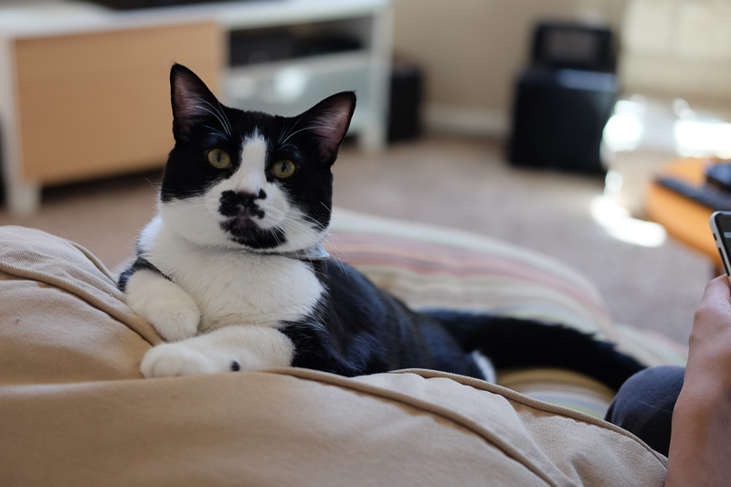 なにみてるの？