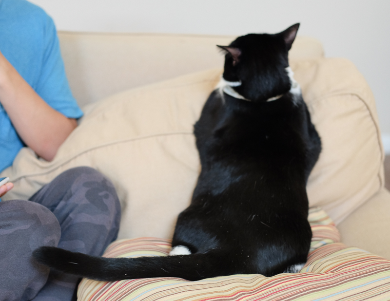 後ろから見ると