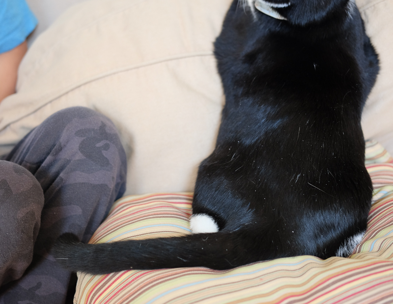 おしりぽってり