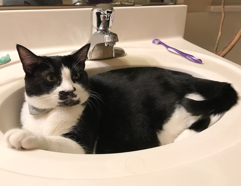 眠くなってきた