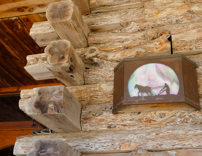 かわいいライト