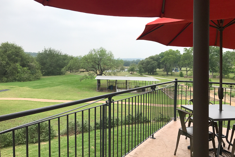 パティオからの眺め