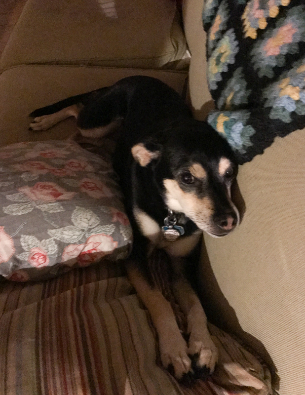 え？もう寝る時間？！