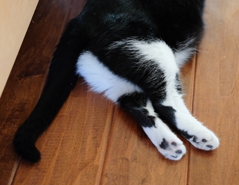 ツートンカラーです