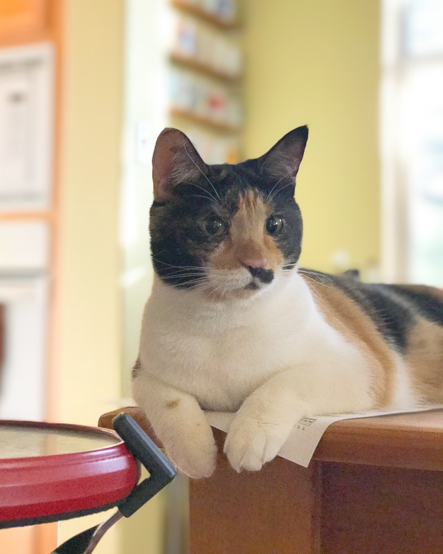 わたしも元気よ