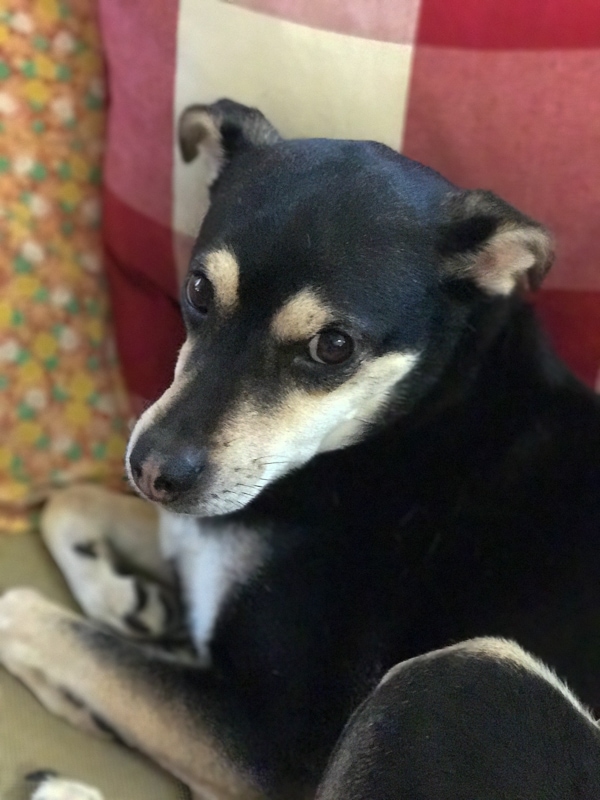 おかえりなさい