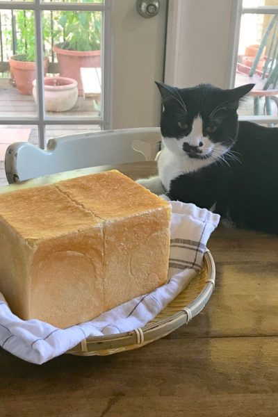 わたし、興味ないし