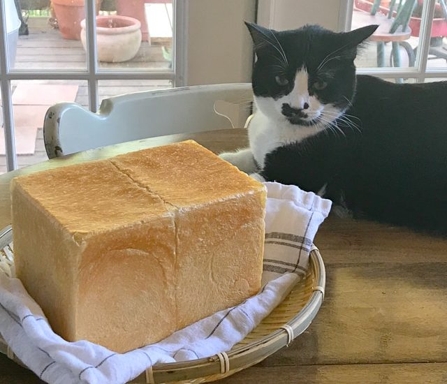 わたし、興味ないし