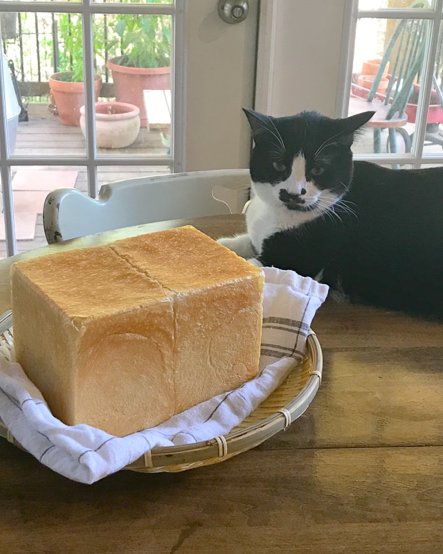 わたし、興味ないし