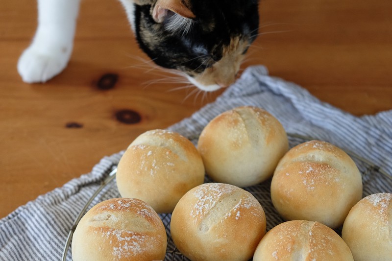 なぜか酸っぱい顔！